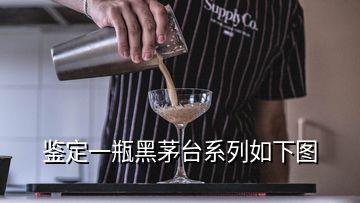 鑒定一瓶黑茅臺系列如下圖