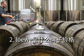 2. loewe是什么牌子價格