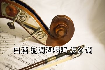 白酒 能調(diào)酒喝嗎 怎么調(diào)