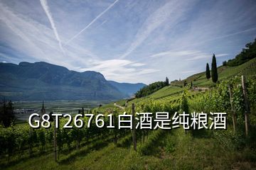 G8T26761白酒是純糧酒