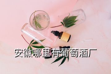 安徽哪里有葡萄酒廠