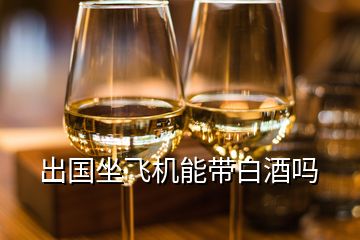 出國坐飛機能帶白酒嗎