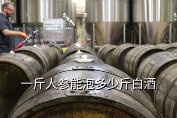 一斤人參能泡多少斤白酒