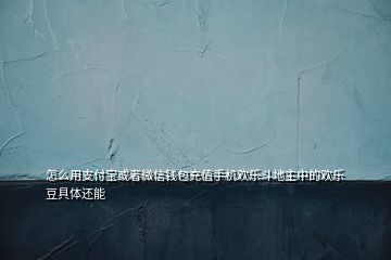 怎么用支付寶或者微信錢包充值手機歡樂斗地主中的歡樂豆具體還能