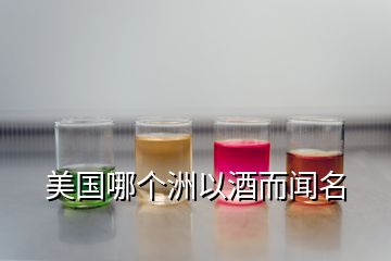 美國哪個洲以酒而聞名