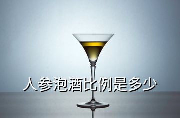 人參泡酒比例是多少