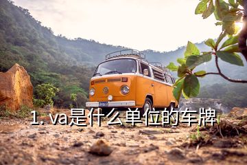 1. va是什么單位的車牌