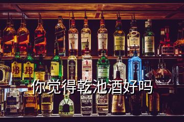 你覺(jué)得乾池酒好嗎