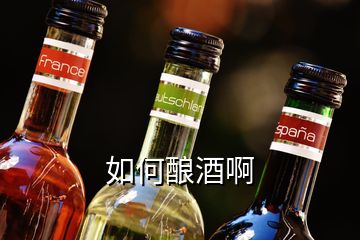 如何釀酒啊