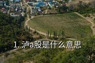 1. 瀘a股是什么意思