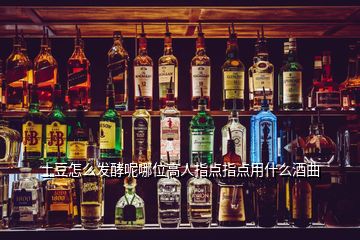 土豆怎么發(fā)酵呢哪位高人指點指點用什么酒曲