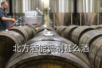 北方酒能調(diào)制甚么酒