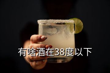 有啥酒在38度以下