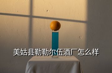 美姑縣勒勒爾伍酒廠怎么樣