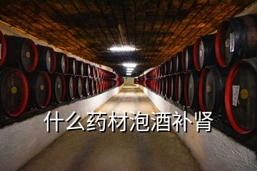 什么藥材泡酒補腎