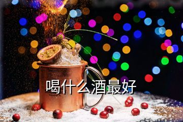 喝什么酒最好