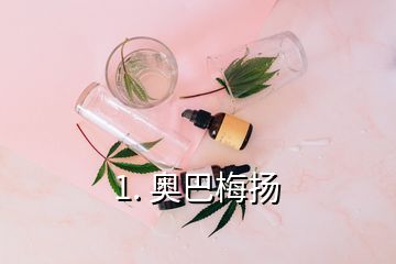 1. 奧巴梅揚