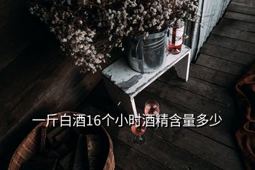 一斤白酒16個小時酒精含量多少