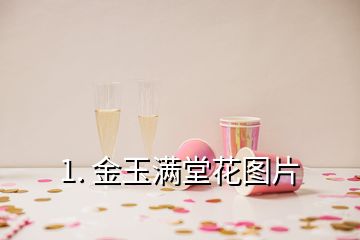 1. 金玉滿堂花圖片