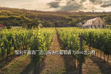 智利干露酒廠遠山梅洛紅葡萄酒 750ml怎么樣