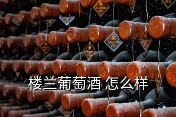 樓蘭葡萄酒 怎么樣