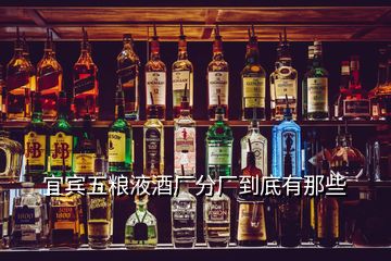 宜賓五糧液酒廠分廠到底有那些