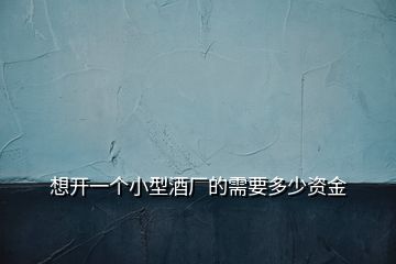 想開一個小型酒廠的需要多少資金