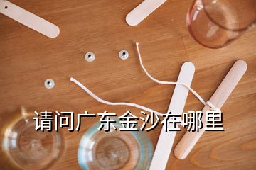 請(qǐng)問廣東金沙在哪里