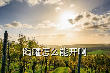 陶罐怎么能開啊