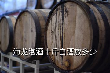 海龍泡酒十斤白酒放多少