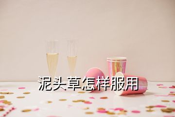 泥頭草怎樣服用