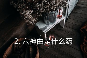 2. 六神曲是什么藥