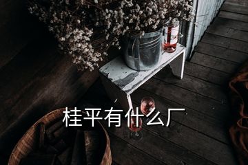 桂平有什么廠