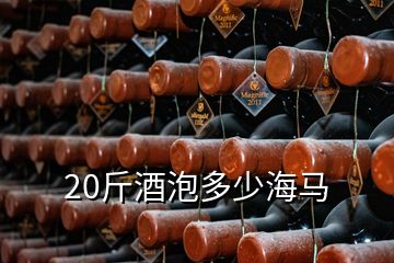 20斤酒泡多少海馬