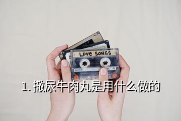 1. 撒尿牛肉丸是用什么做的