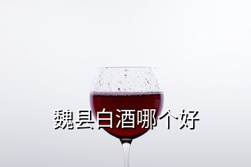 魏縣白酒哪個好