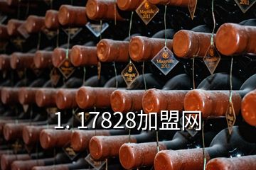 1. 17828加盟網(wǎng)