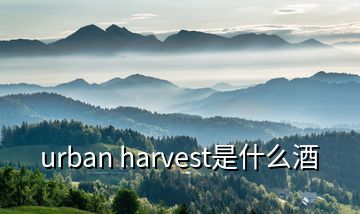 urban harvest是什么酒