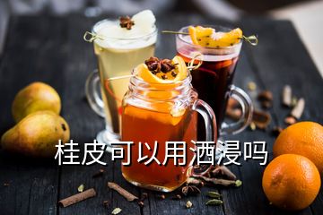 桂皮可以用灑浸嗎