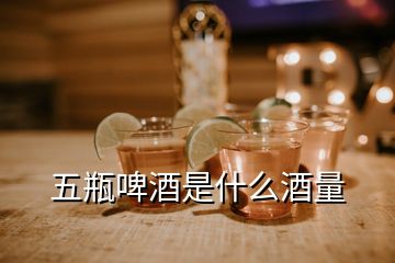 五瓶啤酒是什么酒量