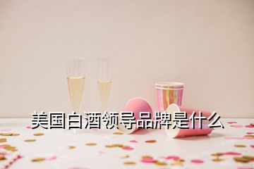 美國(guó)白酒領(lǐng)導(dǎo)品牌是什么