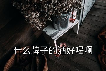 什么牌子的酒好喝啊