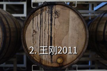 2. 王剛2011