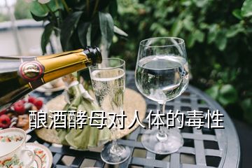 釀酒酵母對(duì)人體的毒性