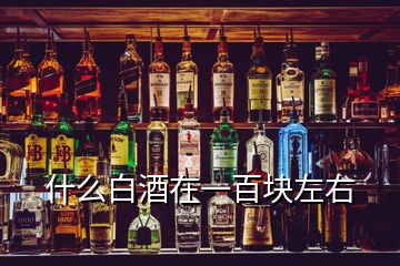 什么白酒在一百塊左右