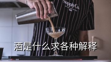 酒是什么求各種解釋