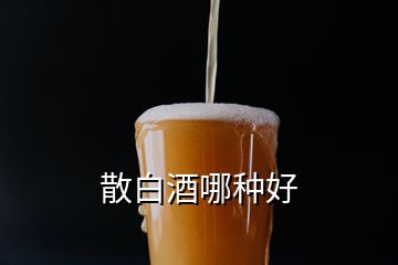 散白酒哪種好