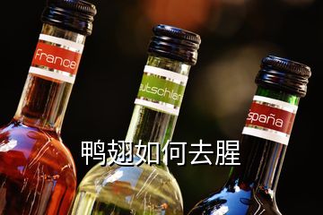 鴨翅如何去腥