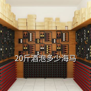 20斤酒泡多少海馬