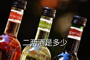 二兩酒是多少